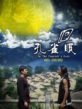 孔雀眼剧情介绍_天天影视