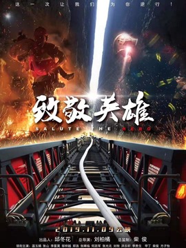 致敬英雄剧情介绍_天天影视