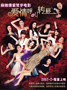 爱情呼叫转移剧情介绍_天天影视