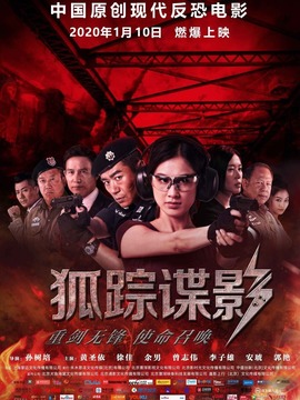 狐踪谍影剧情介绍_天天影视