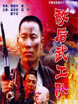 敌后武工队剧情介绍_天天影视