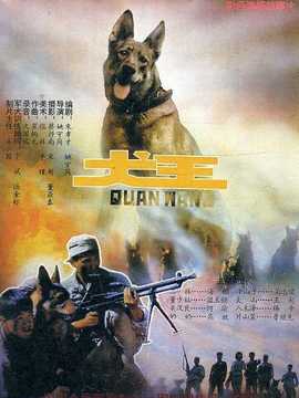 犬王剧情介绍_天天影视