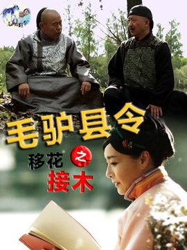 毛驴县令之移花接木剧情介绍_天天影视