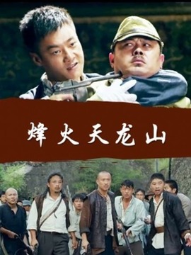 烽火天龙山剧情介绍_天天影视
