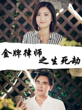 金牌律师之生死劫剧情介绍_天天影视