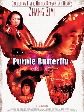 紫蝴蝶剧情介绍_天天影视