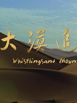 大漠追艳剧情介绍_天天影视