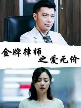 金牌律师之爱无价剧情介绍_天天影视