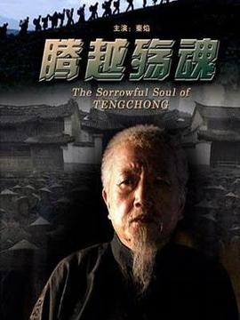 腾越殇魂剧情介绍_天天影视
