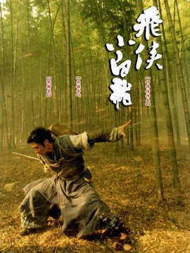 飞侠小白龙剧情介绍_天天影视