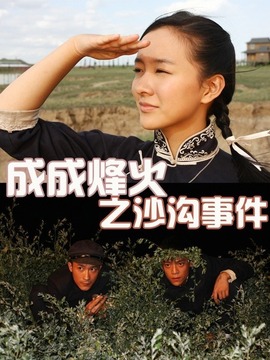 成成烽火之沙沟事件剧情介绍_天天影视
