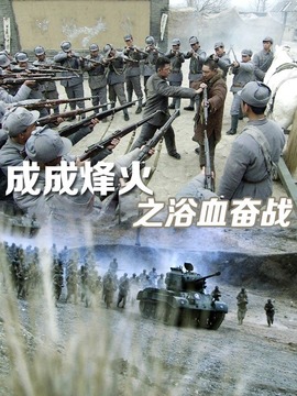 成成烽火之浴血奋战剧情介绍_天天影视