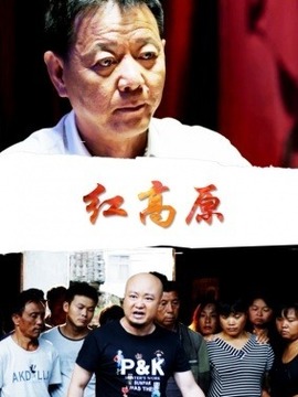 红高原剧情介绍_天天影视