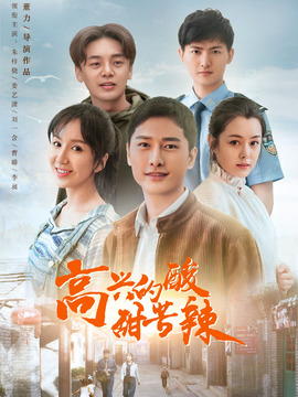 高兴的酸甜苦辣剧情介绍_天天影视