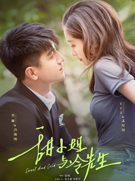 甜小姐与冷先生剧情介绍_天天影视