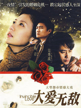 大爱无敌剧情介绍_天天影视