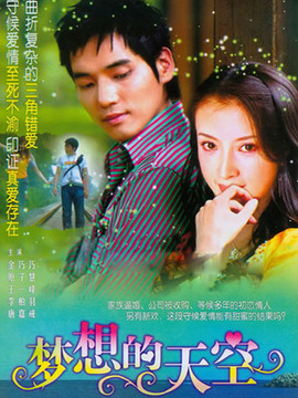 梦想的天空剧情介绍_天天影视