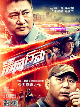清网行动剧情介绍_天天影视