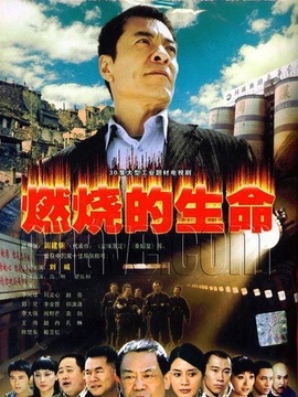 燃烧的生命剧情介绍_天天影视