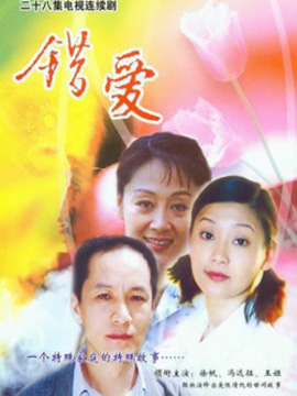 错爱1剧情介绍_天天影视