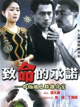 致命的承诺剧情介绍_天天影视