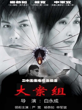 大案组剧情介绍_天天影视