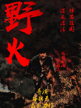 野火剧情介绍_天天影视