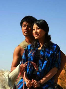 青树剧情介绍_天天影视