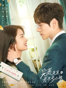 完美先生和差不多小姐剧情介绍_天天影视