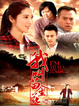 我叫苗金花剧情介绍_天天影视