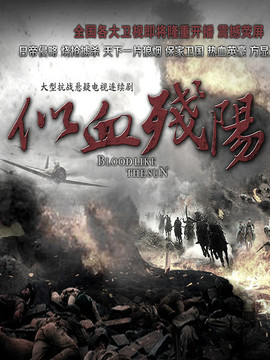 似血残阳剧情介绍_天天影视