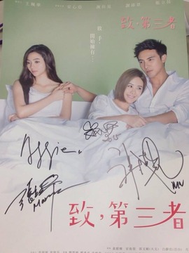 致，第三者剧情介绍_天天影视