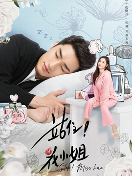 站住！花小姐剧情介绍_天天影视