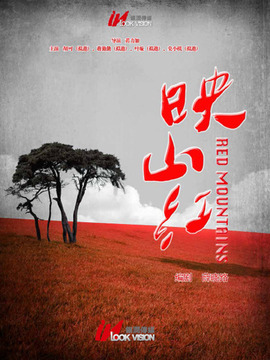 映山红剧情介绍_天天影视