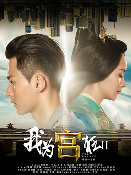 我为宫狂2剧情介绍_天天影视