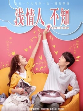浅情人不知剧情介绍_天天影视