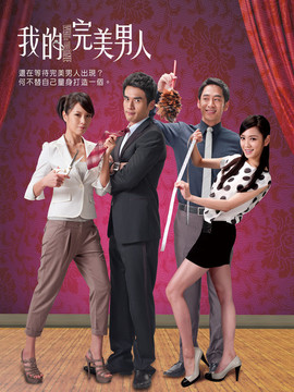 我的完美男人剧情介绍_天天影视