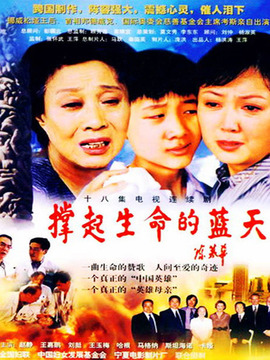 撑起生命的蓝天剧情介绍_天天影视