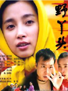 野丫头剧情介绍_天天影视