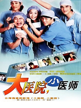 大医院小医师剧情介绍_天天影视