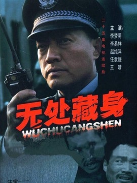 无处藏身剧情介绍_天天影视