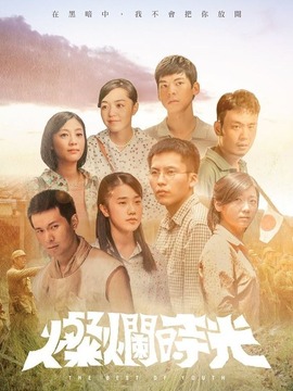 灿烂时光剧情介绍_天天影视