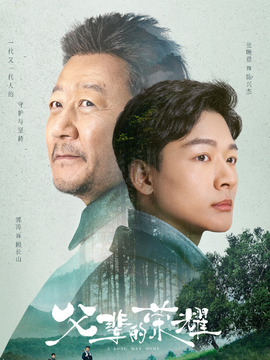 父辈的荣耀剧情介绍_天天影视