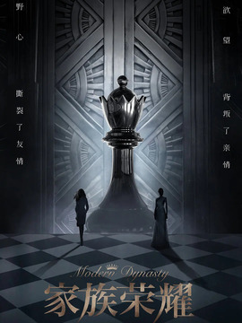 家族荣耀剧情介绍_天天影视