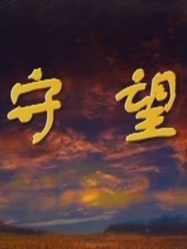 守望剧情介绍_天天影视