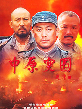 中原突围剧情介绍_天天影视