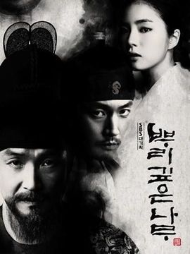 树大根深剧情介绍_天天影视