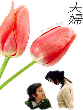 夫妇剧情介绍_天天影视