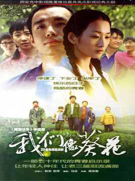 我们像葵花剧情介绍_天天影视