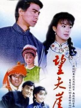 望夫崖剧情介绍_天天影视